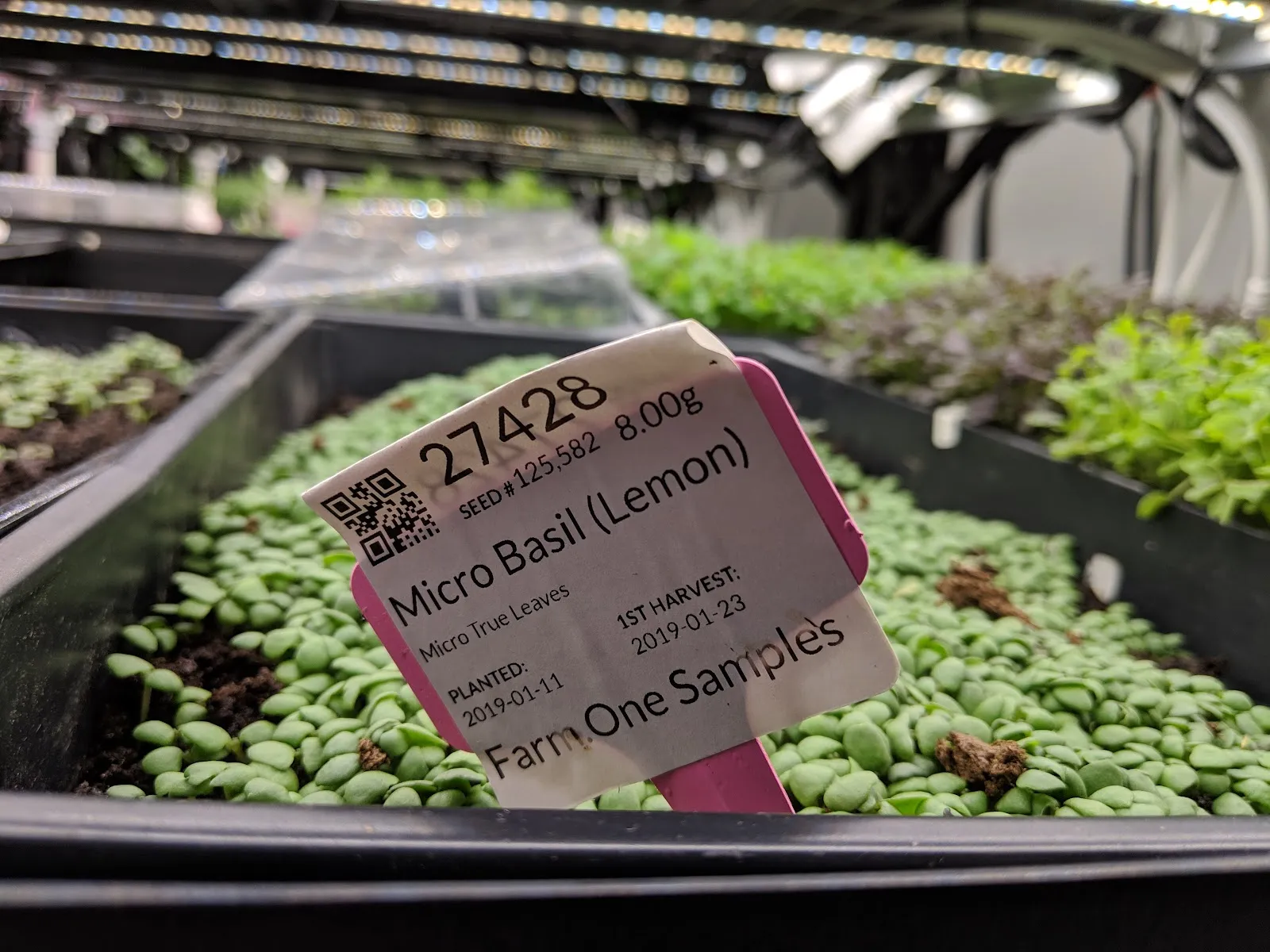 Gallery image 2